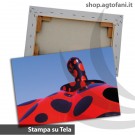 Stampa su Tela (canvas)